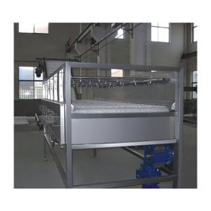 Fruit Sorting Machine